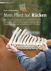 [Translate to English:] Veröffentlichung aus der Tiermedizin Hochmoor. Rückenprobleme.